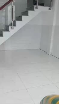 Nhà cho thuê tại xã Long Trạch, huyện Cần Đước, 2 phòng ngủ - Giá chỉ 2.5 triệu/tháng!