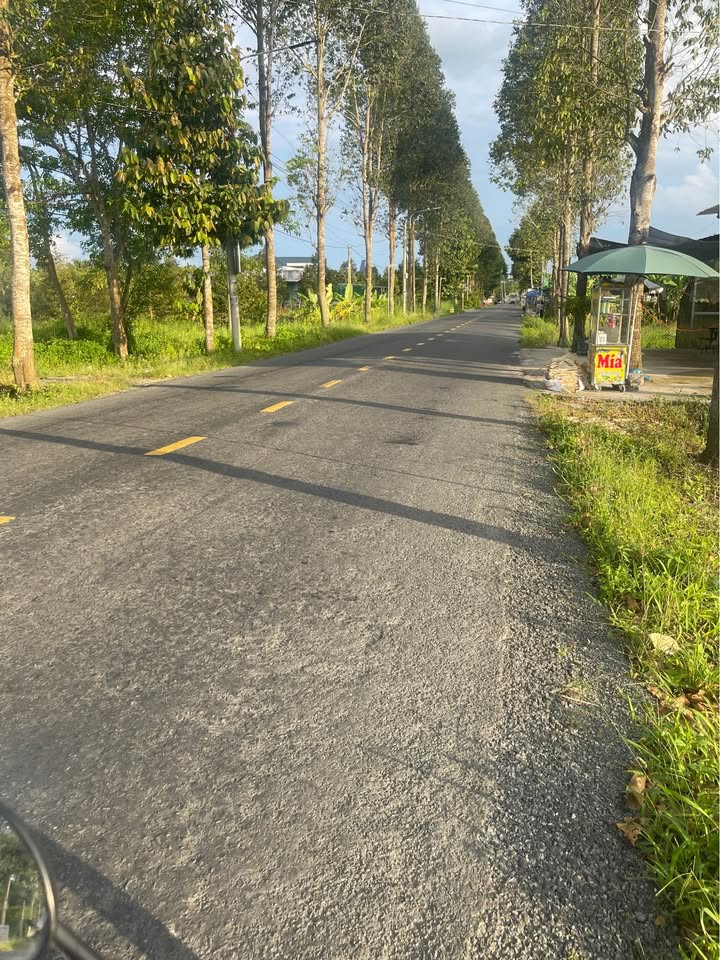 Đất mặt tiền Lộ Bốn Tổng- Một Ngàn, 564m² giá 1.433 tỷ - Đầu tư sinh lời lý tưởng!