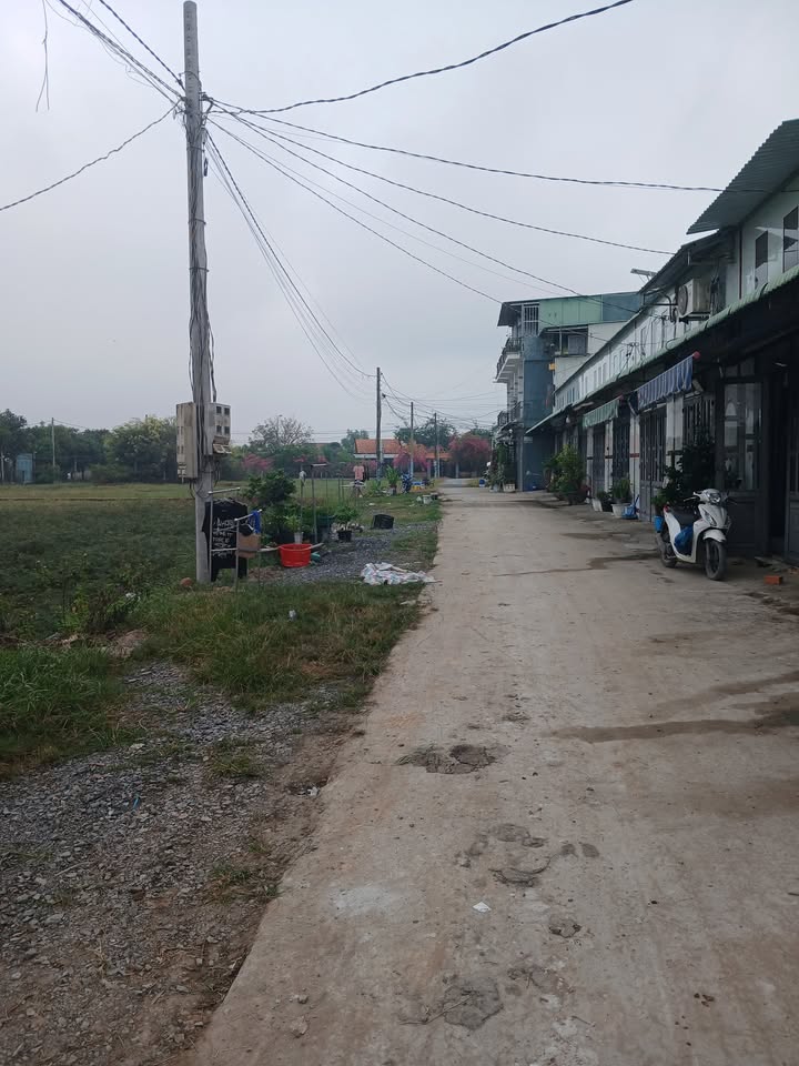 Đất nền Mỹ Hạnh Bắc, Đức Hòa 125m² giá 1.55 tỷ - Xây dựng tự do, pháp lý rõ ràng!