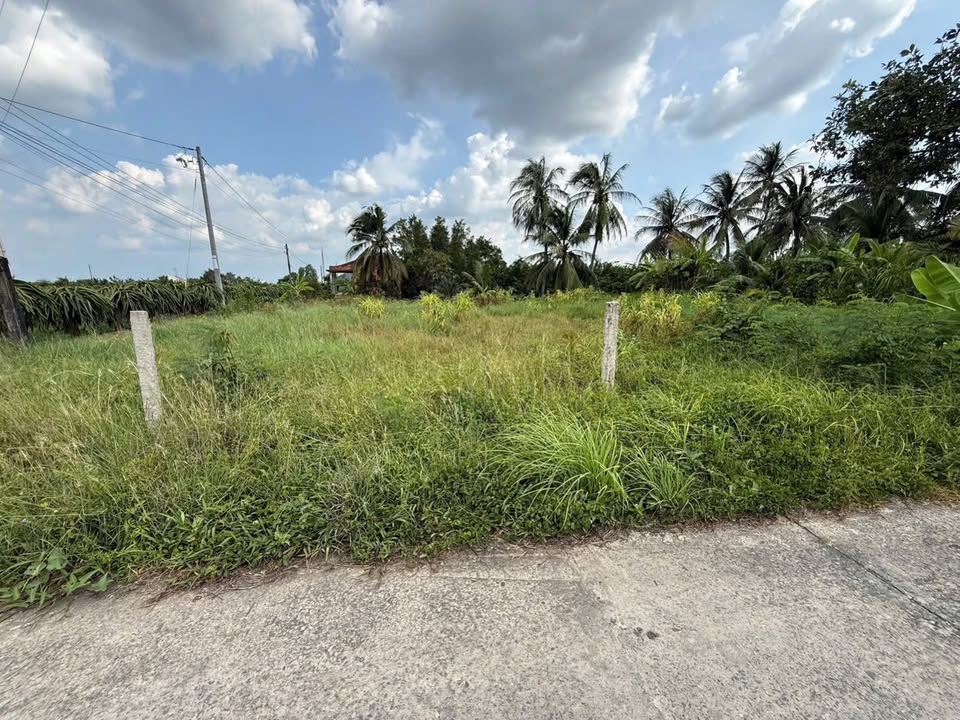 Đất thổ cư chính chủ 165m² tại Thuận Mỹ, Tây Ninh - Giá chỉ 449 triệu!