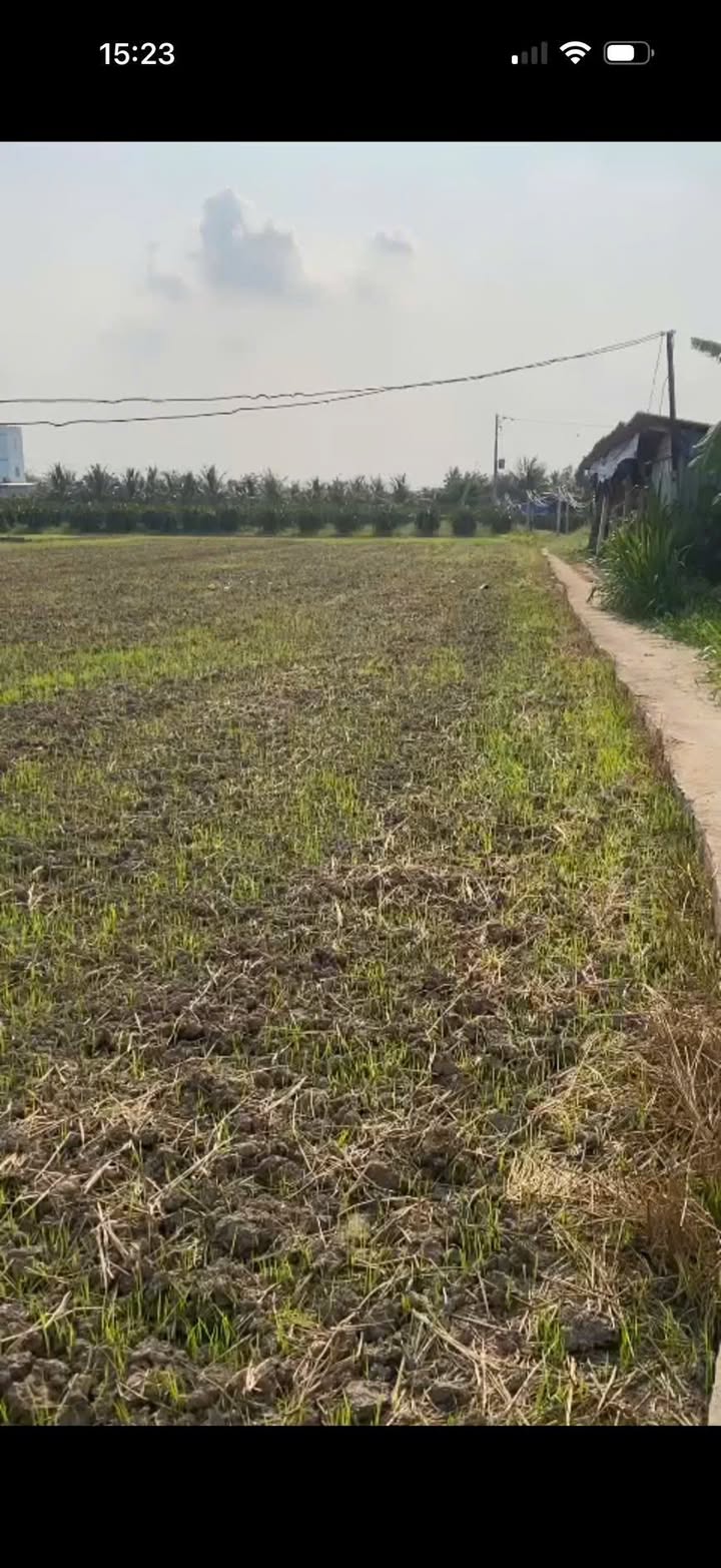 Đất lúa Nhơn Thạnh Trung, Long An 2000m² giá 1.36 tỷ - Chính chủ bán gấp!