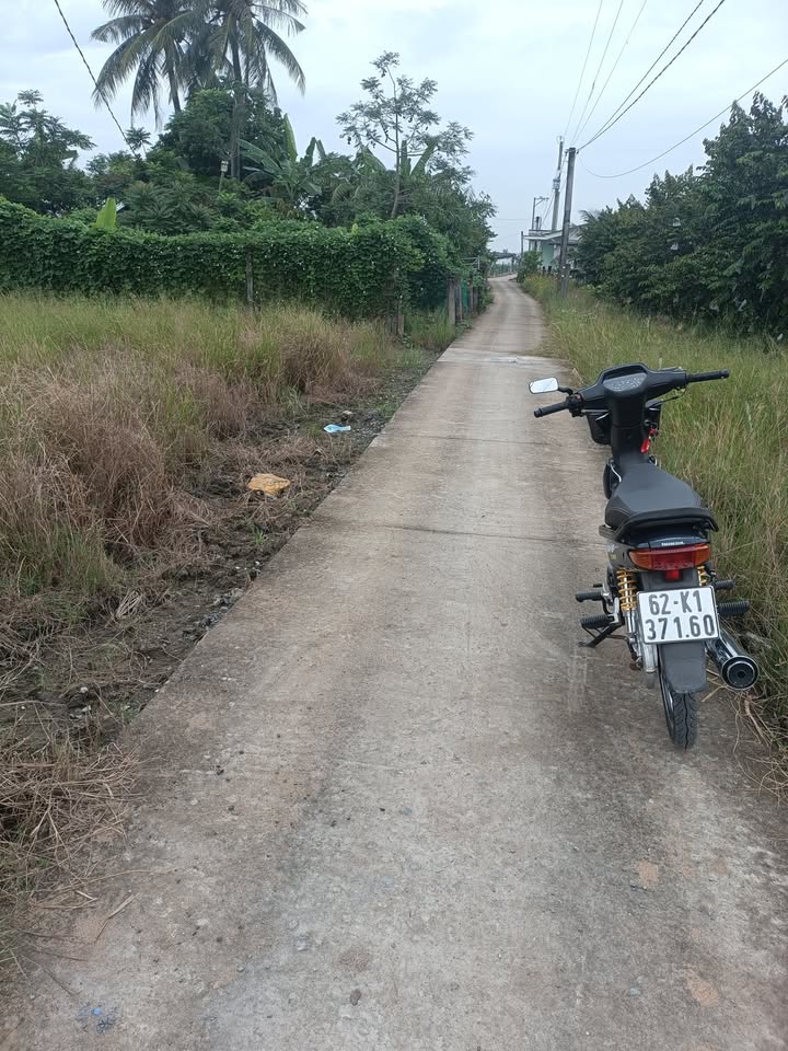 Đất lúa 1000m² Phú Ngãi Trị, Châu Thành - Giá 550 triệu VND, thương lượng ngay!