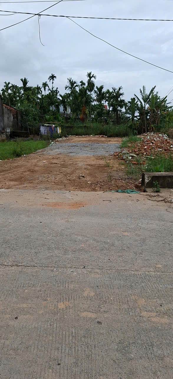 Đất nền Nghĩa Dõng Quảng Ngãi 100m² giá chỉ 590 triệu - Cơ hội đầu tư hấp dẫn!