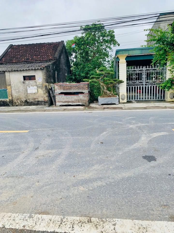 Đất nền Quang Lịch 117m² giá 1.65 tỷ - Vị trí đẹp, giao thông thuận lợi!