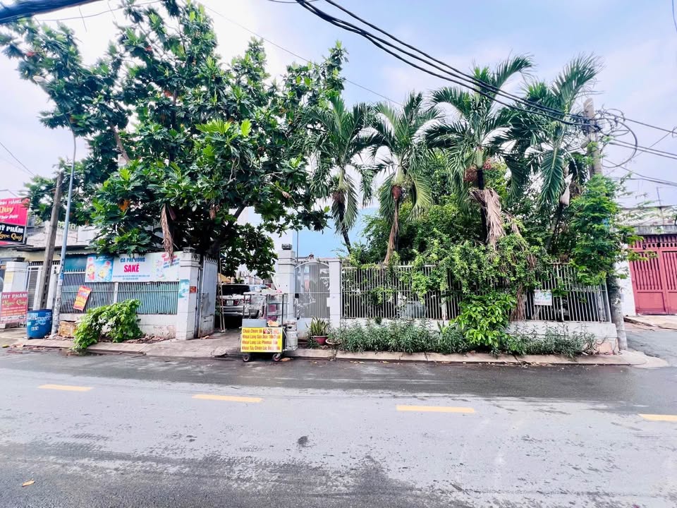 Đất nền mặt tiền đường Trần Thị Hè, quận 12, 99m² giá 6.2 tỷ - Cơ hội đầu tư hấp dẫn!