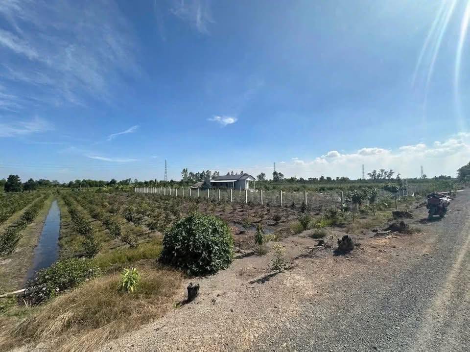 Đất vườn 1000m² tại Ấp 1, Bình Đức, Bến Lức - Giá chỉ 899 triệu, đầu tư sinh lời!