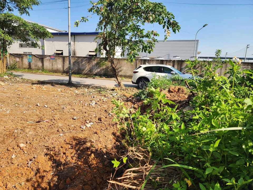 Đất nền Võ Cường Bắc Ninh 98m² - Vị trí đắc địa, giá thương lượng