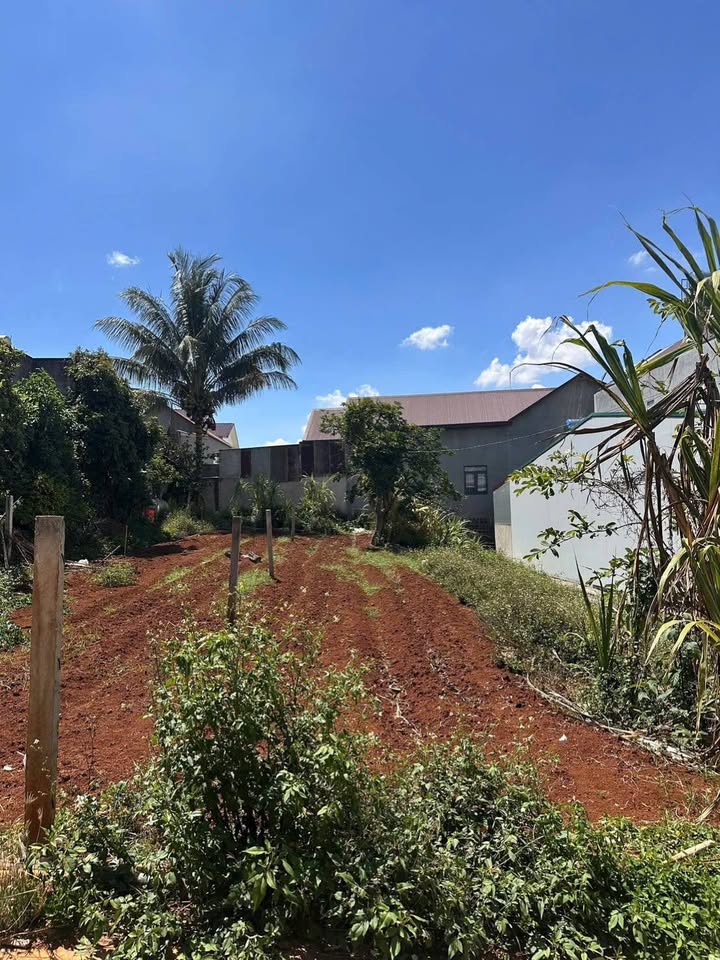 Đất Nghĩa Hiệp, Liên Hiệp, Lâm Đồng 163m² giá 1.7 tỷ - Đầu tư sinh lời ngay!