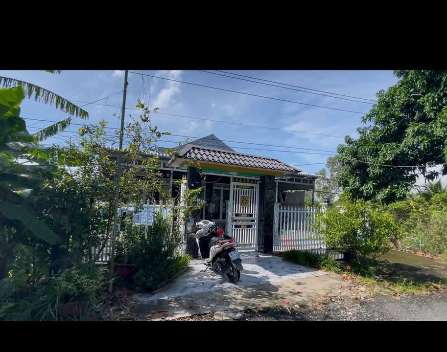 Nhà vườn 1.577m² ở xã Bình Thành, Đồng Tháp – Chỉ 2.3 tỷ, Bán gấp!