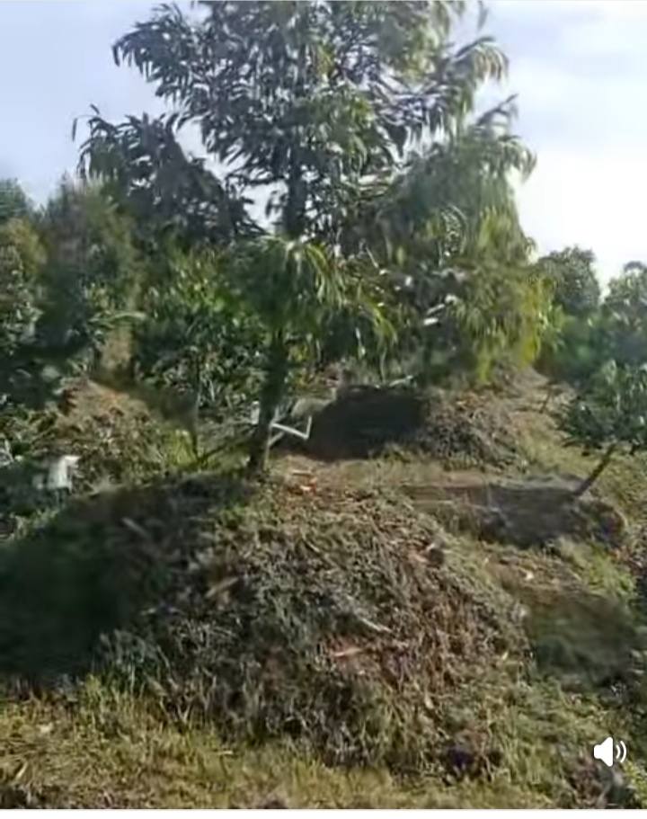 Đất Farm 5.000m² tại Thanh Mỹ, Tháp Mười - Giá chỉ 3.35 tỷ VND, Mặt tiền nhựa sông lớn!