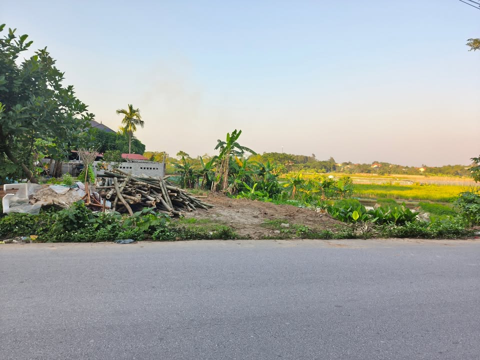 Đất nền Vân Hội Trấn Yên 153m² giá chỉ 2 tỷ - Sổ đỏ chính chủ