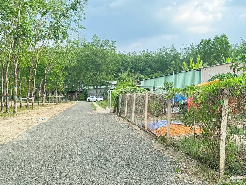 Đất nền Tân Phước Đồng Xoài 3600m² giá 300 triệu - Nở hậu tiềm năng đầu tư!