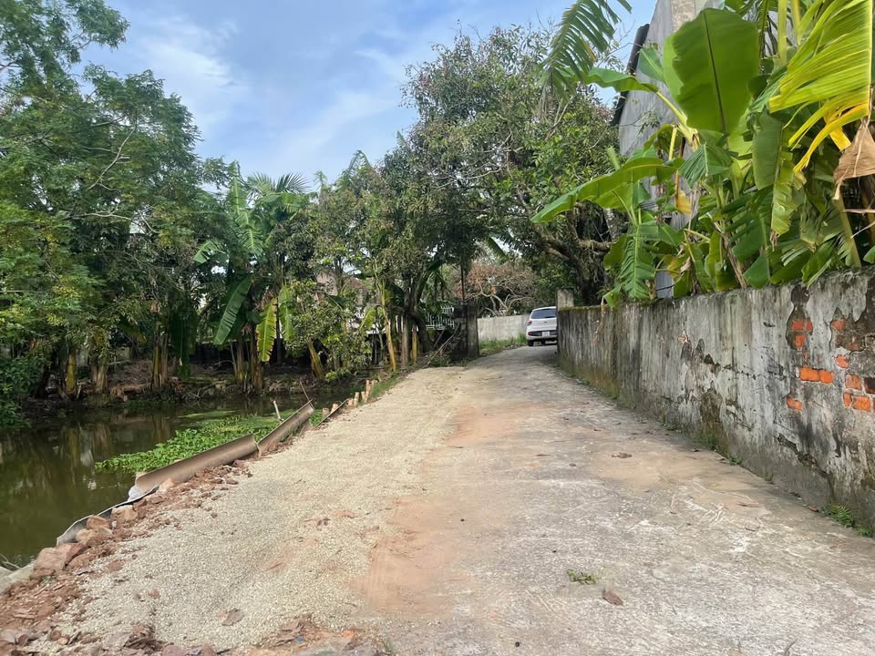 Đất Bồ Đề Bình Lục 60m² giá 400 triệu - Cơ hội đầu tư hấp dẫn!