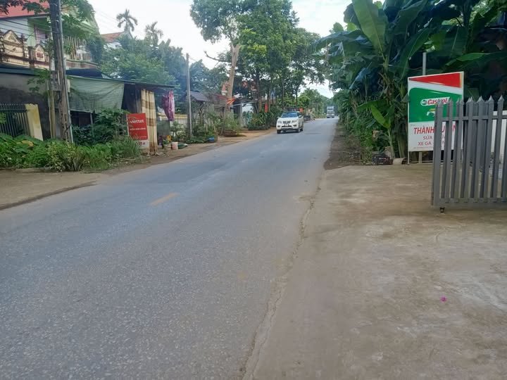 Đất mặt tiền Quốc lộ 217, Cẩm Ngọc, 135m² - Cơ hội đầu tư tuyệt vời!