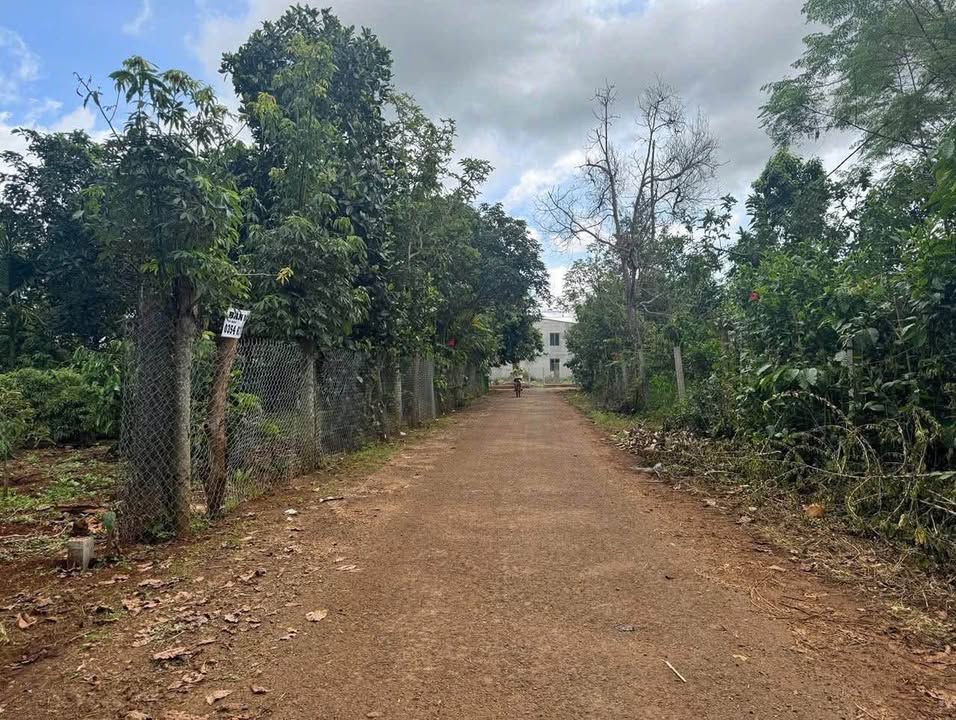 Đất nền đường A3, phường Tân An, huyện Krông Pắc 215m² giá 1.25 tỷ - Cơ hội đầu tư tuyệt vời!