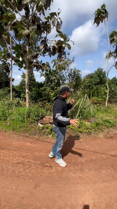 Đất nền Quảng Hiệp Cư M'gar 3600m² giá 359 triệu - Chính chủ bán nhanh!