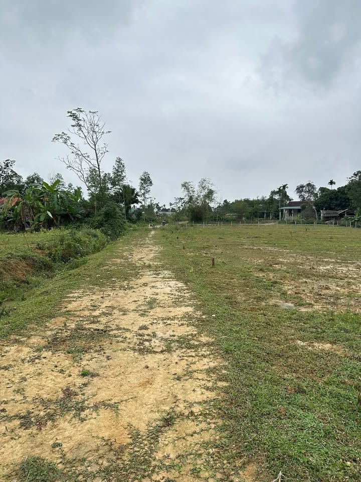 Đất thổ cư 225m² thôn Vĩnh Ngọc, xã Hương Xuân, Hà Tĩnh - Giá thỏa thuận hấp dẫn!