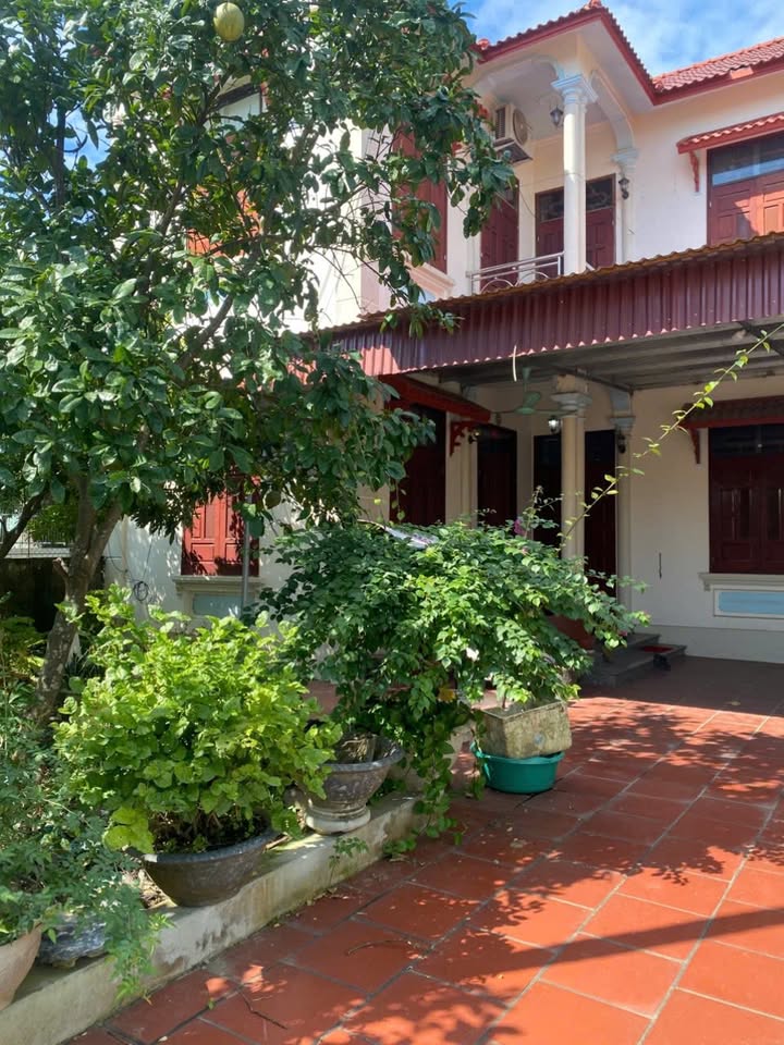 Biệt thự nhà vườn Ứng Hoè Ninh Giang 900m² giá 3.6 tỷ - Cơ hội đầu tư tuyệt vời!