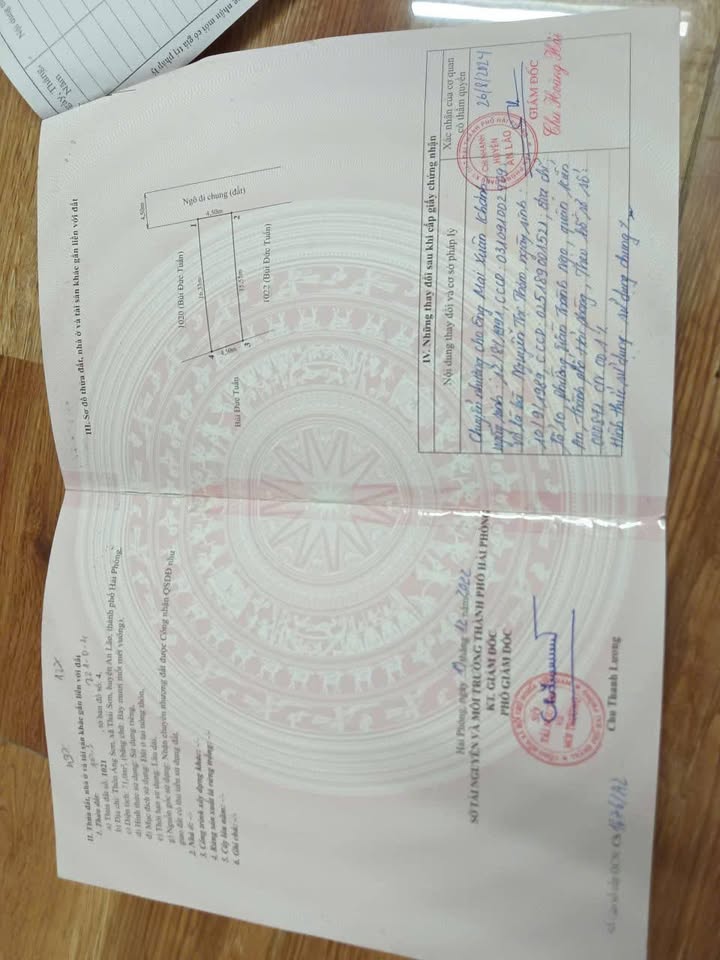 Đất nền Thái Sơn An Lão 71m² giá 800 triệu - View thoáng mát, ô tô vào tận nơi!