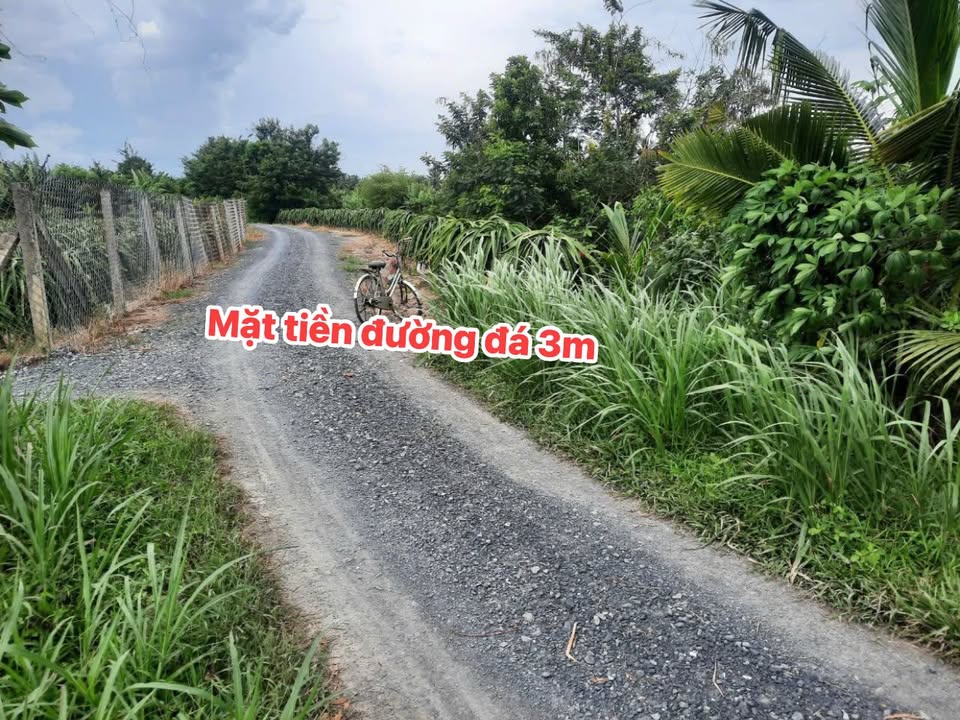 Đất 2 mặt tiền ấp Bình Ninh, Chợ Gạo 374m² giá chỉ 590 triệu - Cơ hội đầu tư không thể bỏ lỡ!