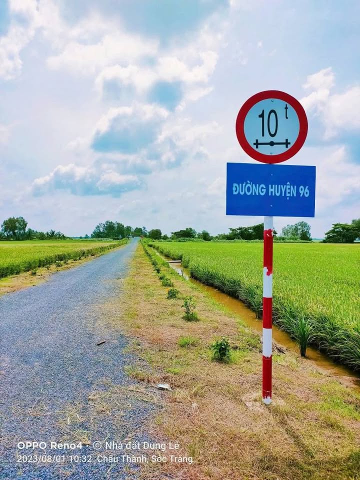 Đất nền mặt tiền kênh lớn Phú Tân 12000m² giá 180 triệu - Cơ hội đầu tư hấp dẫn!