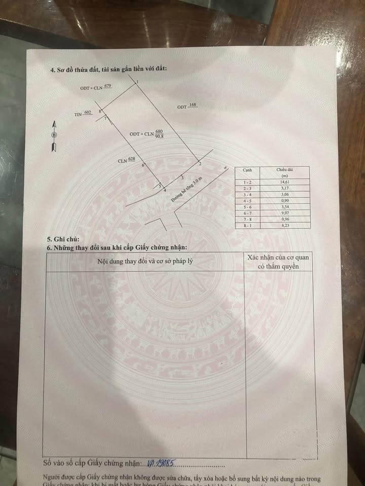Đất nền Hòa Thuận, Tam Kỳ 100m² giá 800 triệu - Cơ hội đầu tư tuyệt vời!