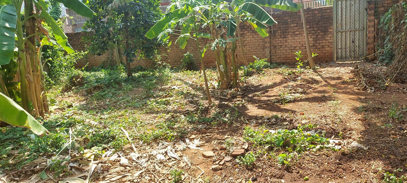 Đất nền xây biệt thự Hòa Long, Bà Rịa 434m² giá chỉ 2.8 tỷ - Cơ hội đầu tư tuyệt vời!