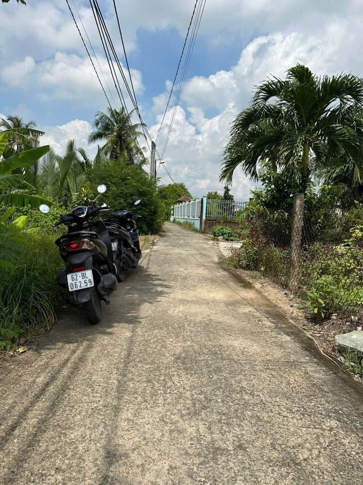 Đất thổ cư xã Thanh Phú Long 165m² giá 449 triệu - Sổ hồng riêng, tiện ích đầy đủ!