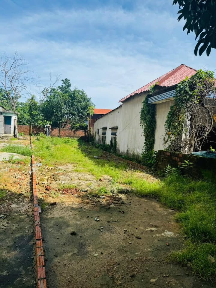 Đất ở Hòa Thọ Đông, Cẩm Lệ, Đà Nẵng 130m² giá 3.3 tỷ - Cơ hội đầu tư tốt!