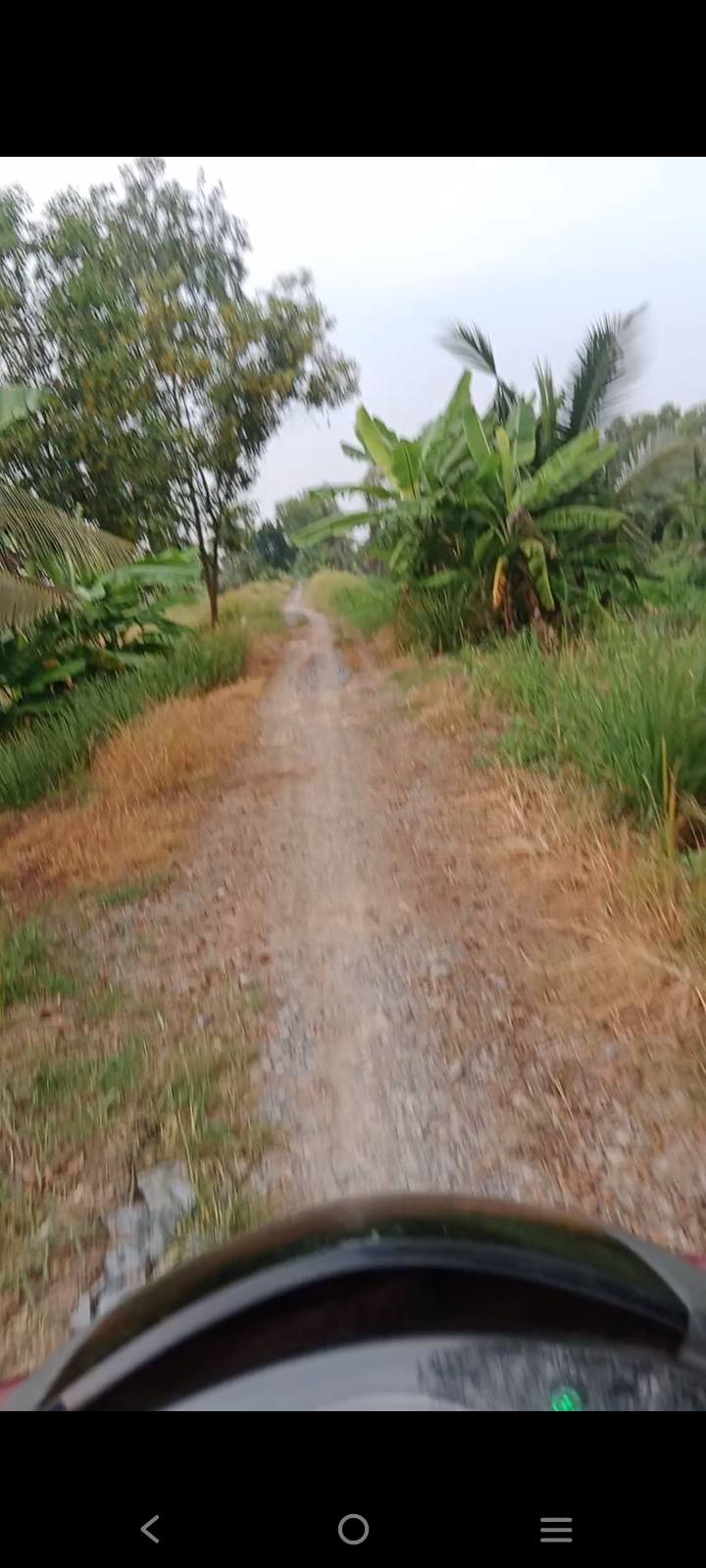 Đất vườn 1000m² tại Ấp 6, Tân Bửu, Bến Lức giá 1.65 tỷ - Đường đất 8m thuận tiện!