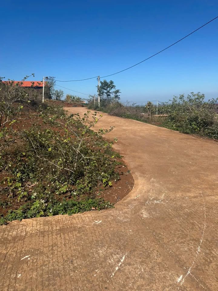 Đất nền chính chủ Buôn Ma Thuột 100m² giá 1.39 tỷ - Cơ hội đầu tư lý tưởng!