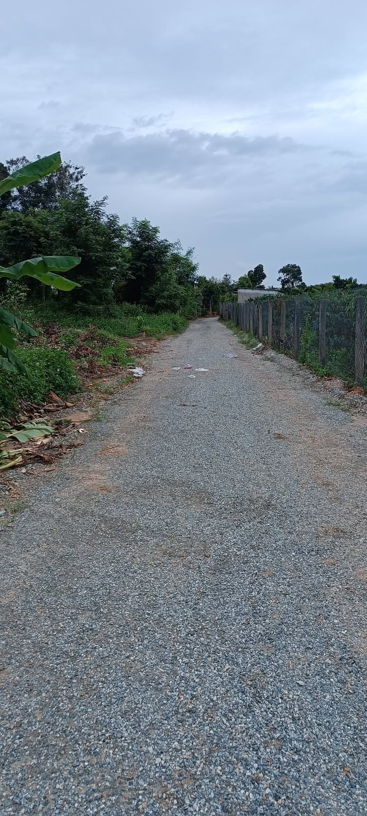 Đất thổ cư 2580m² tại thôn 8, xã Cư Ni, giá chỉ 350 triệu - Cơ hội đầu tư hấp dẫn!