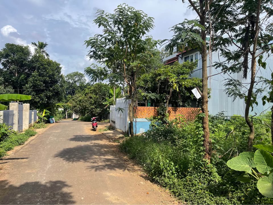 Đất nền Hòa Phú, Buôn Ma Thuột 206.28m² giá 890 triệu - Đầu tư sinh lời ngay!