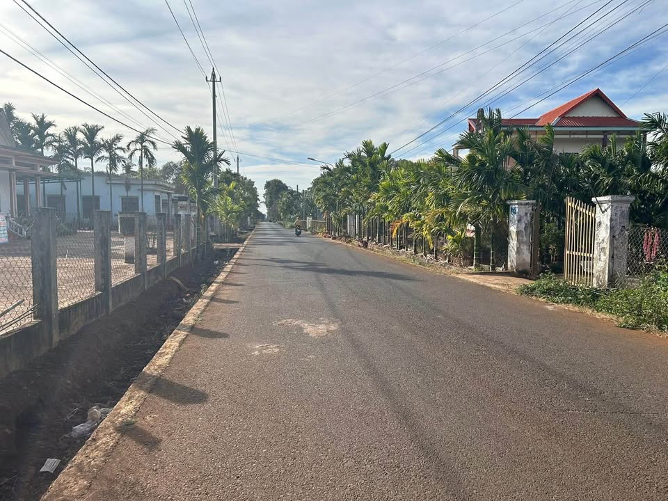 Đất mặt tiền đường nhựa 8KC TDP Kiên Cường, Tân An, 265m² giá 1.19 tỷ - Cơ hội đầu tư tuyệt vời!