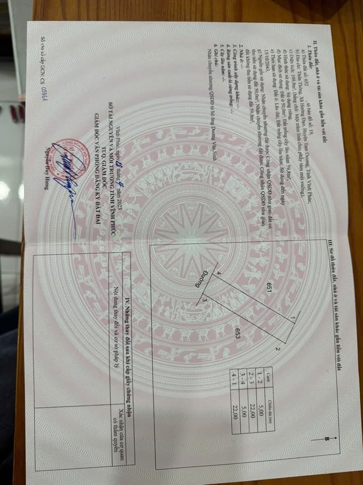 Đất Thổ cư 110m² tại Hướng Đạo, Tam Dương - Cơ hội đầu tư hấp dẫn!