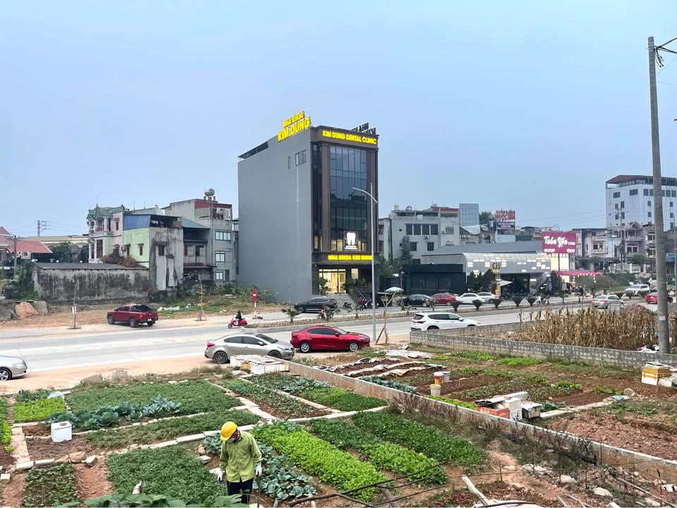 Lô đất Quang Trung Thái Nguyên 150m² - Mặt tiền rộng gần 8m, thổ cư 100%!