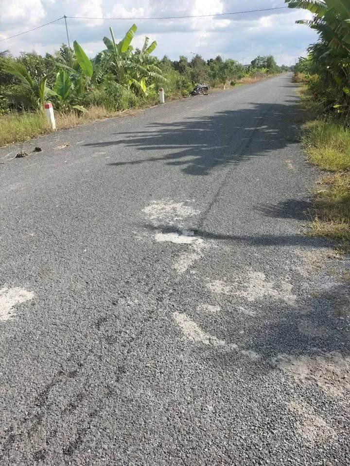 Đất Farm An Khánh Đồng Tháp 3.800m² - Sổ đỏ chính chủ, giá tốt!