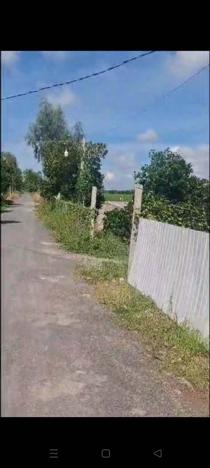 Đất vườn Phú Cường Tam Nông 5300m² giá 1.6 tỷ - Đầu tư sinh lời ngay!