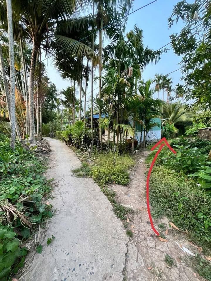 Đất nền Giai Xuân, Phong Điền 1.371m² giá 890 triệu - Cơ hội đầu tư hấp dẫn!