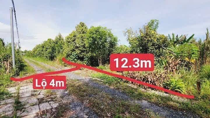 Đất vườn Long Tuyền, Bình Thủy, Cần Thơ 304m² giá 890 triệu - Sẵn sàng đầu tư!