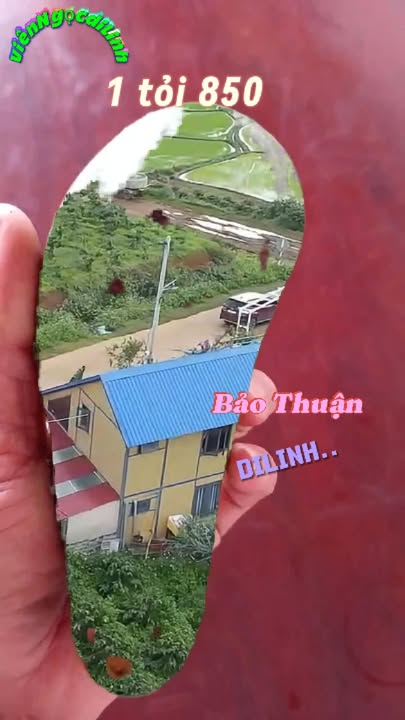 Biệt thự Farm Bảo Thuận Di Linh 1000m² giá 1.85 tỷ - Không gian nghỉ dưỡng lý tưởng!