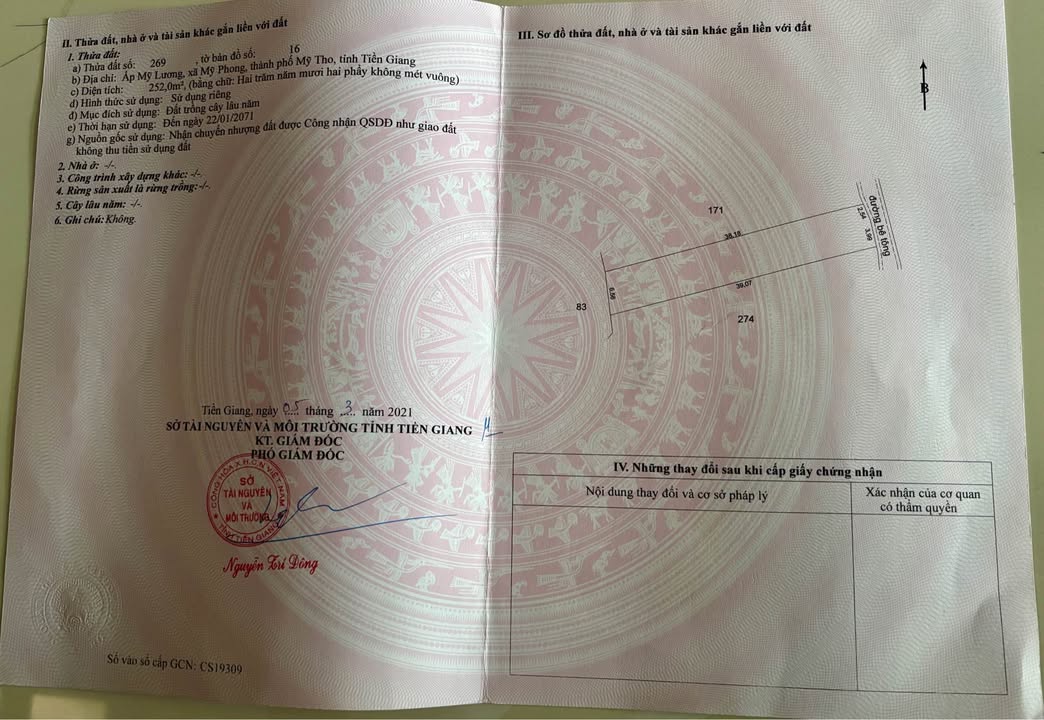 Đất nền khu phố Mỹ Hưng, phường Mỹ Phong - Diện tích 260m², giá chỉ 600 triệu!