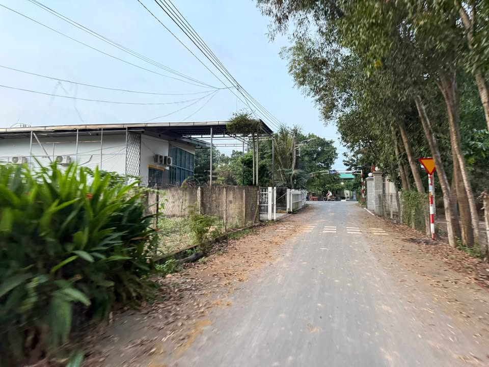 Đất nền An Tây Bến Cát 165m² giá 1.35 tỷ - Vị trí vàng đầu tư!