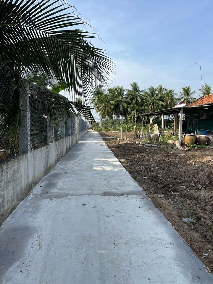 Đất nền 304m² xã An Thạnh Thủy, Chợ Gạo - Giá 360 triệu, thương lượng