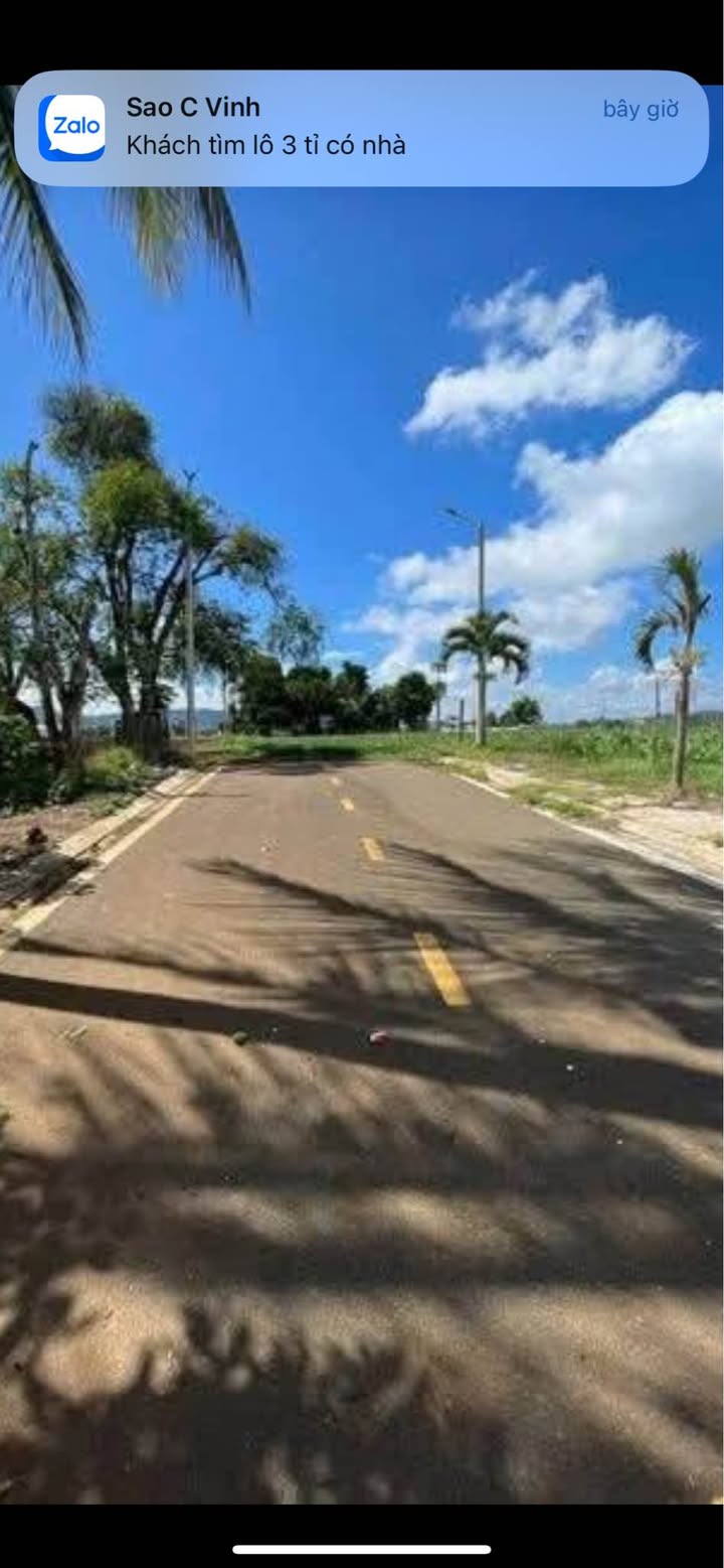 Đất nền liền kề đường Hồ Xuân Hương, Liên Nghĩa 155m² giá 1.45 tỷ - Đầu tư sinh lời ngay!