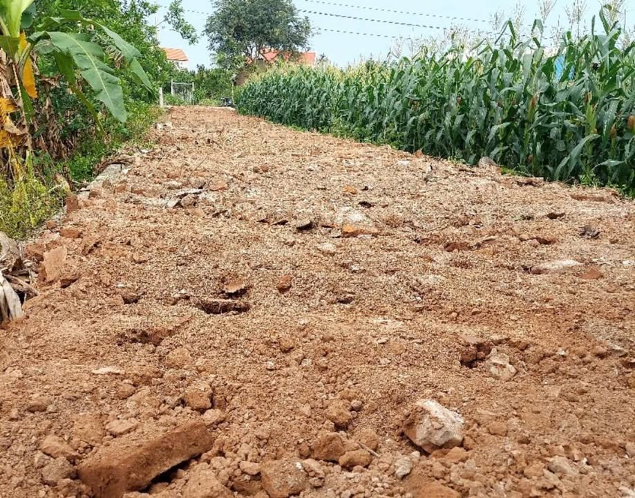 Đất 160m² Sài Sơn, Quốc Oai - Sổ đỏ chính chủ, đầu tư sinh lời!