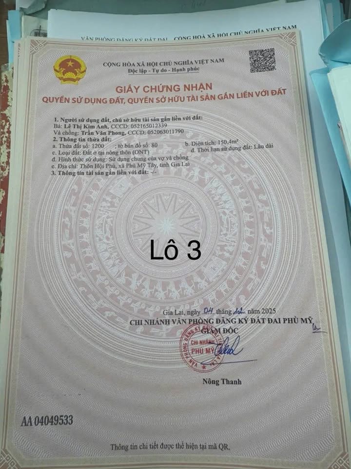 Đất thổ cư Phù Mỹ 300m² giá chỉ 100 triệu - Sổ hồng chính chủ!