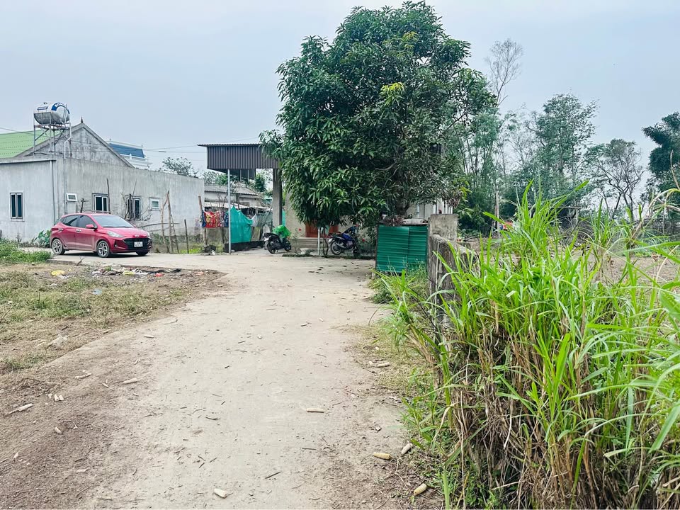 Đất nền Nghi Phong 612m² giá 10.4 tỷ - Phân lô dễ dàng đầu tư!