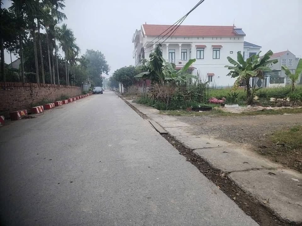 Lô đất Tam Hồng 101m² giá chỉ 1.621 tỷ - Pháp lý rõ ràng, sẵn sàng xây dựng!