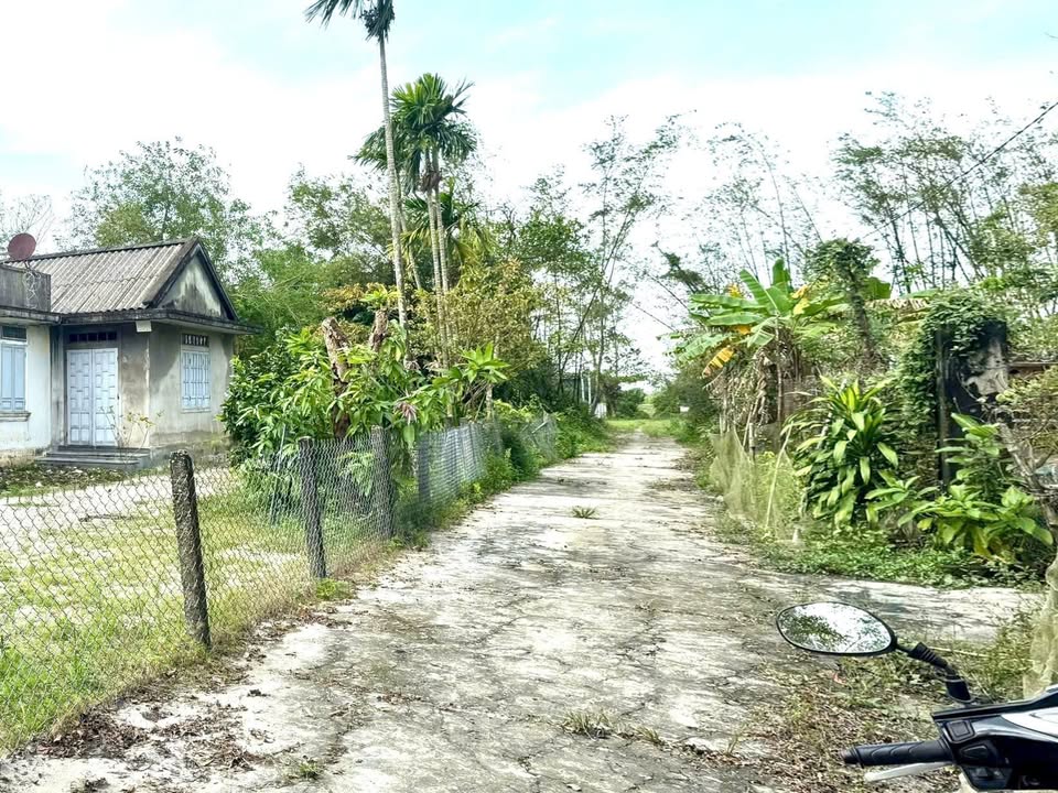 Đất nền Phú Hồ, TP Huế 140m² giá chỉ 550 triệu - Cơ hội đầu tư hấp dẫn!